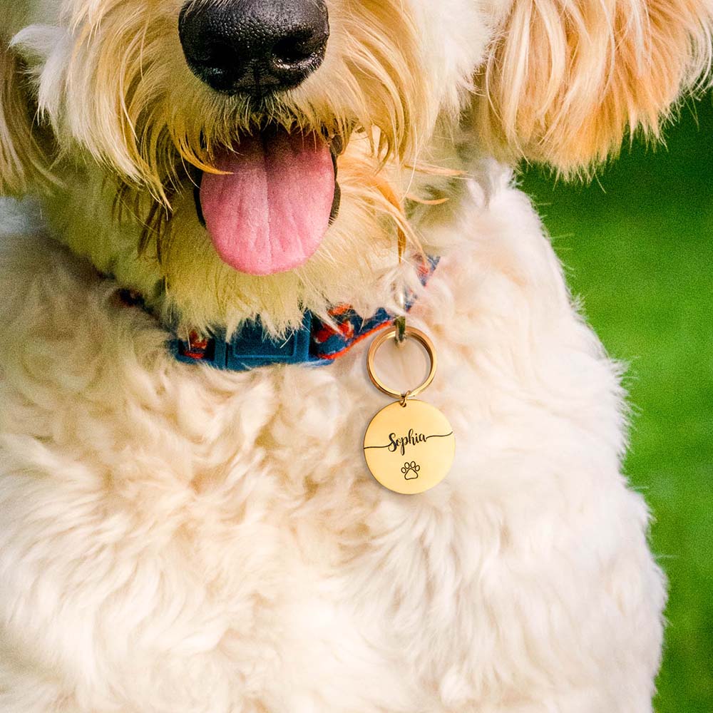 Personalized Custom Dog Keychain Stainless Steel