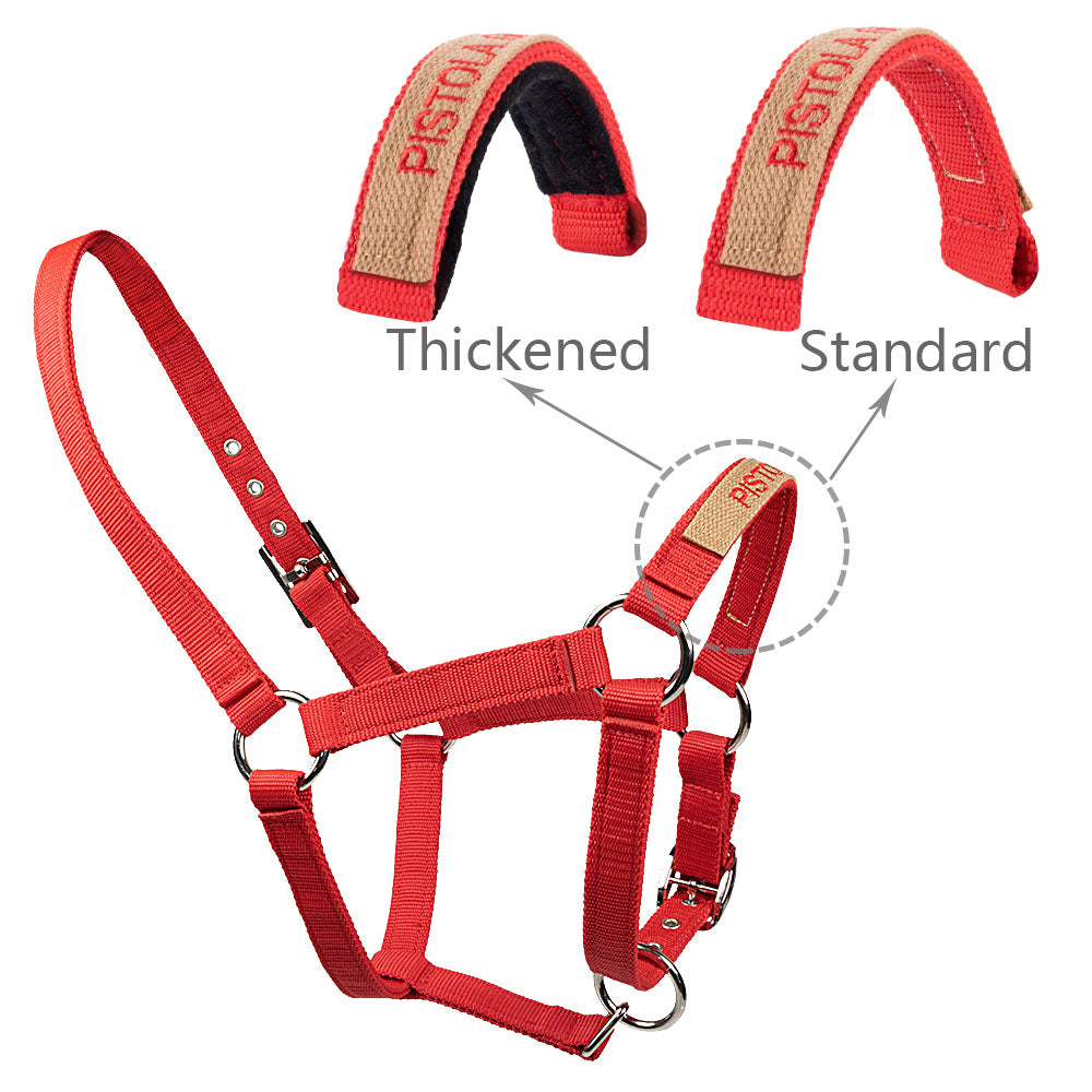 Customized Adorned Horse Bridle -  Thickening