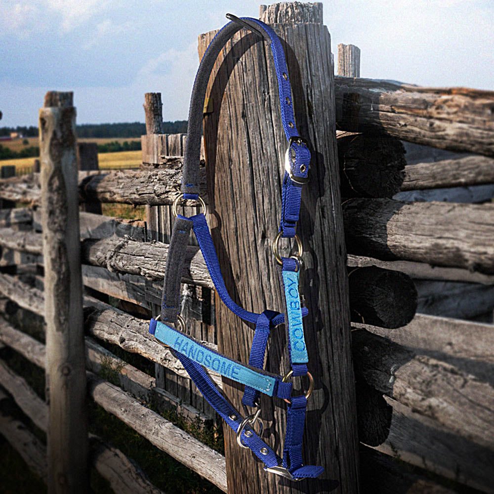 Customized Adorned Horse Bridle -  Thickening