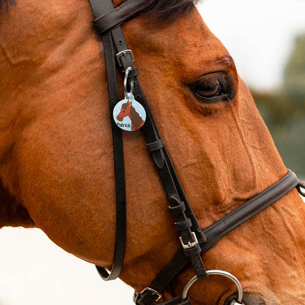 Customized Equestrian Horse ID Tag