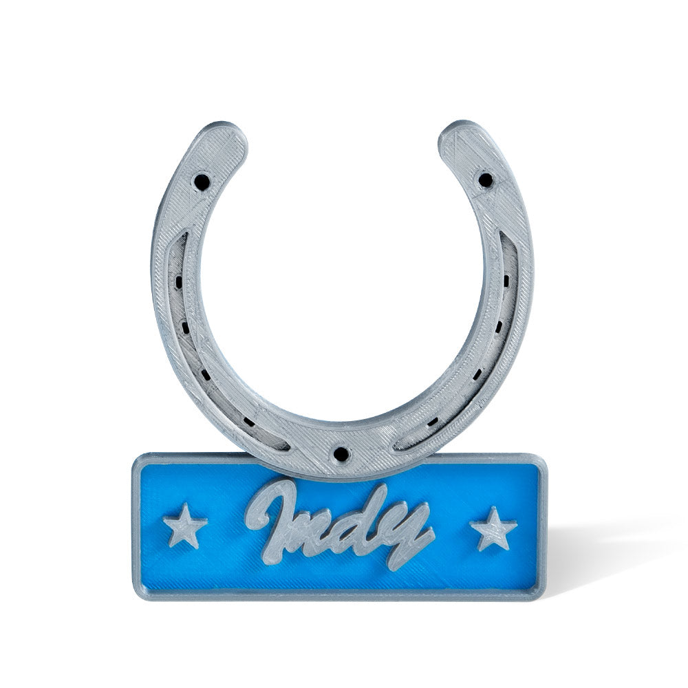 Personalized Horseshoe Door Name Plate Gift for Horse Lovers